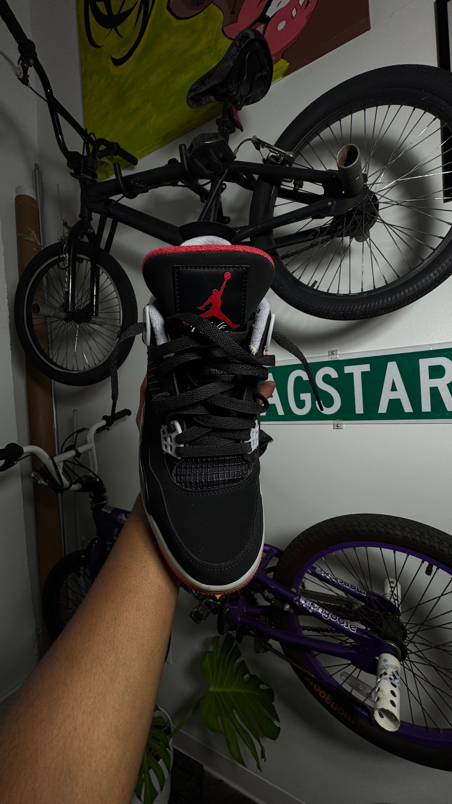 AJ 4's “Bred” Pair 2