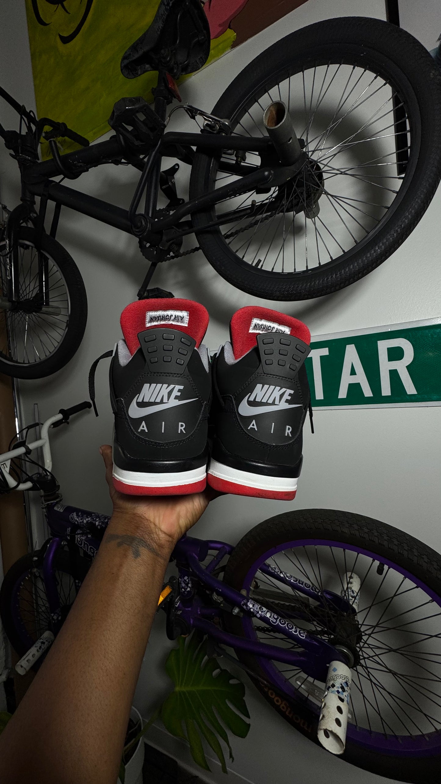 AJ 4's “Bred” Pair 2