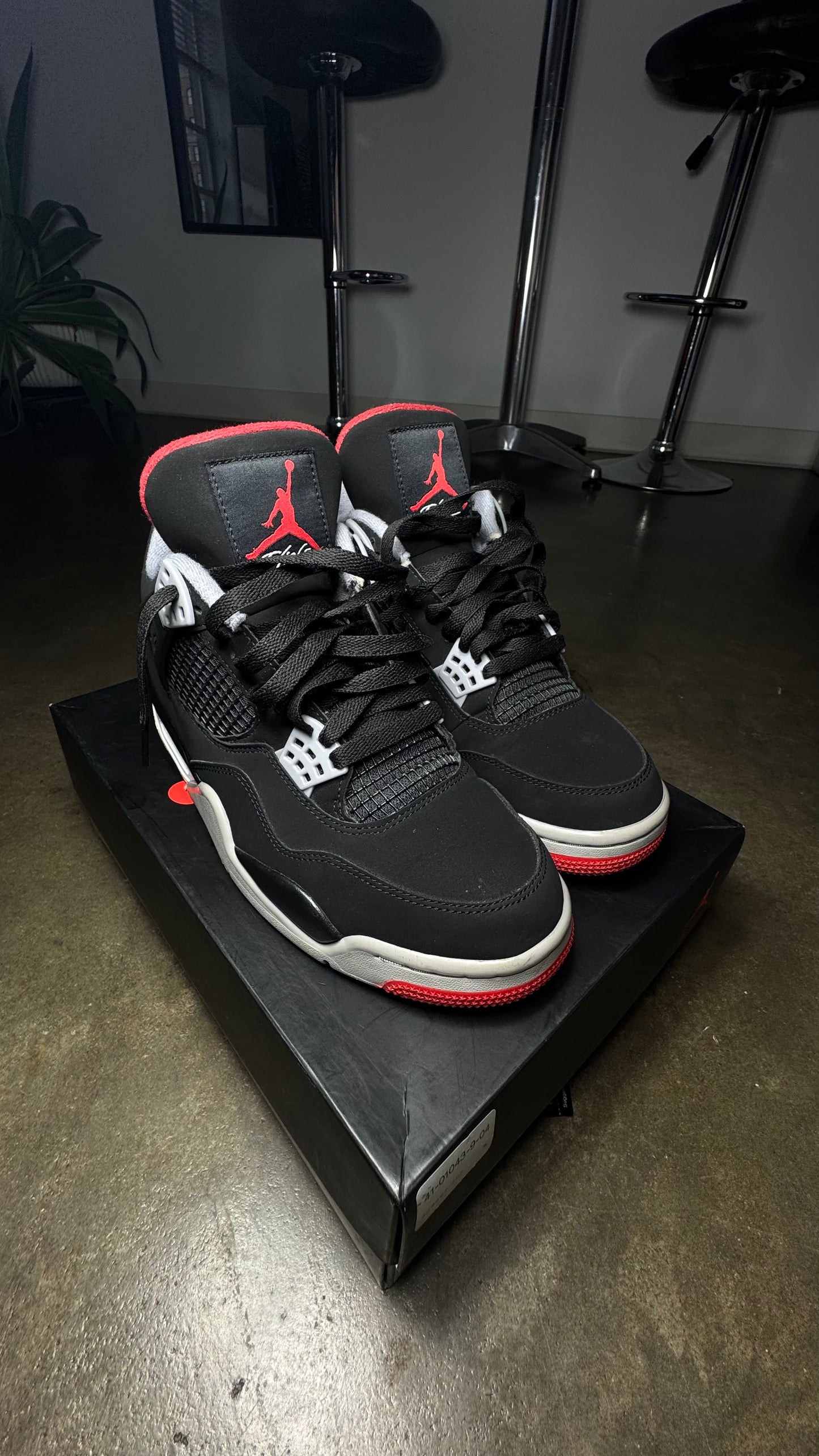 AJ 4's “Bred” Pair 2